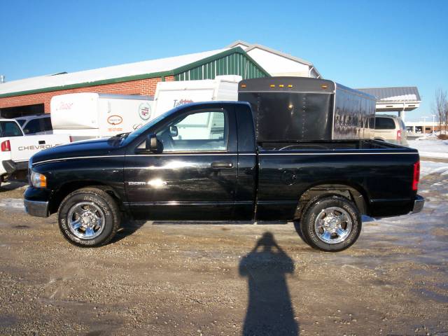 Dodge Ram Pickup 2003 photo 1