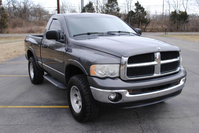 Dodge Ram Pickup 2003 photo 2