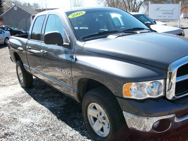 Dodge Ram Pickup 2003 photo 3