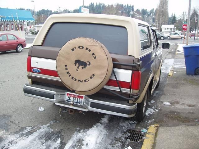 Ford Bronco 1990 photo 3