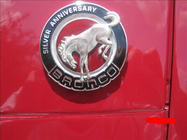 Ford Bronco 1991 photo 3