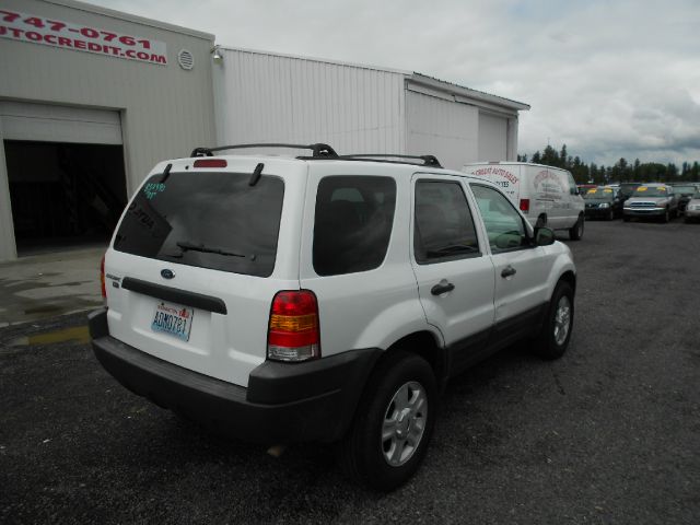 Ford Escape Sxt/4x4 SUV