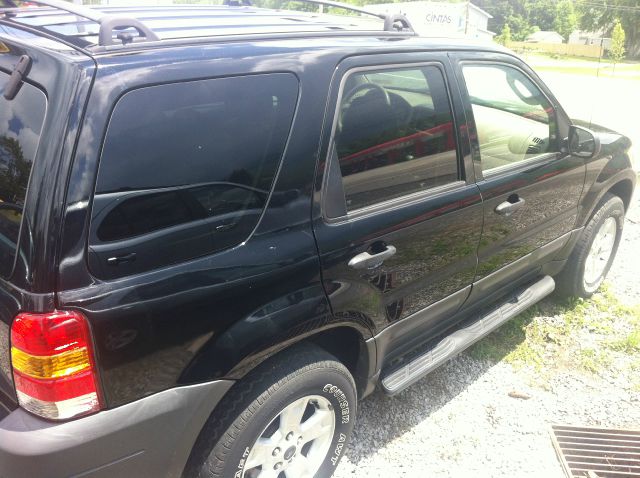 Ford Escape 2005 photo 4