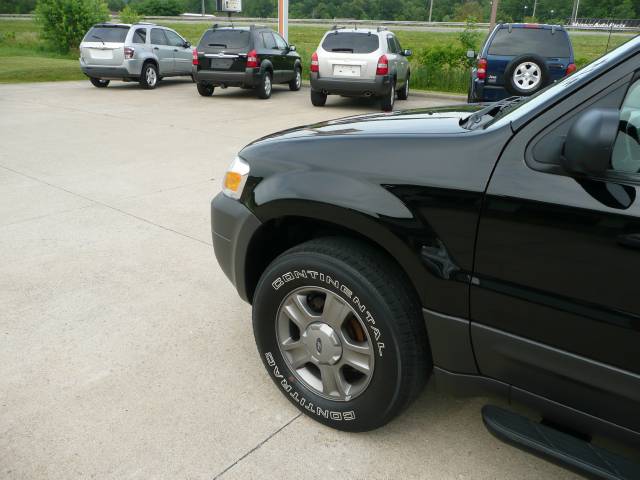 Ford Escape 2005 photo 3