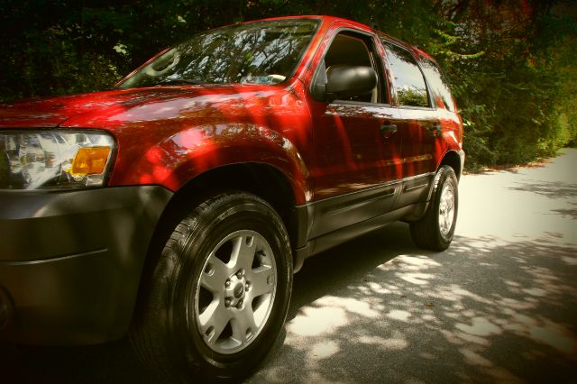 Ford Escape 2005 photo 3