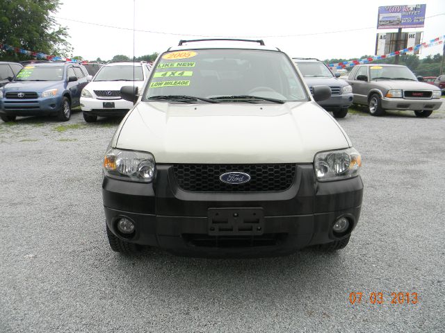 Ford Escape 2005 photo 4