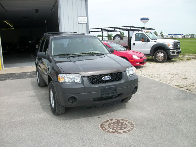 Ford Escape Reg Cab 159.5 WB C5B SUV