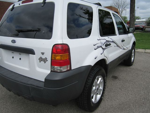 Ford Escape 2007 photo 7