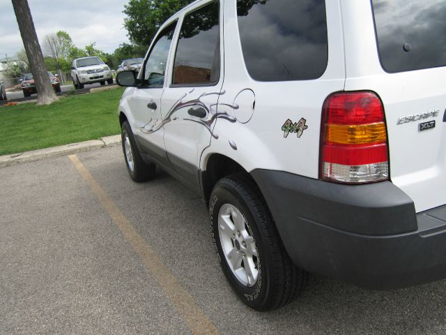 Ford Escape 2007 photo 8