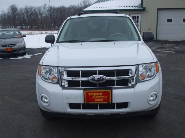 Ford Escape 2008 photo 1