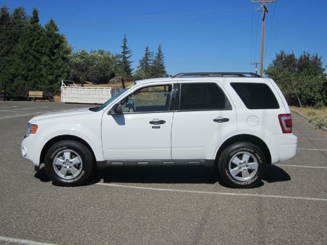 Ford Escape 2009 photo 2