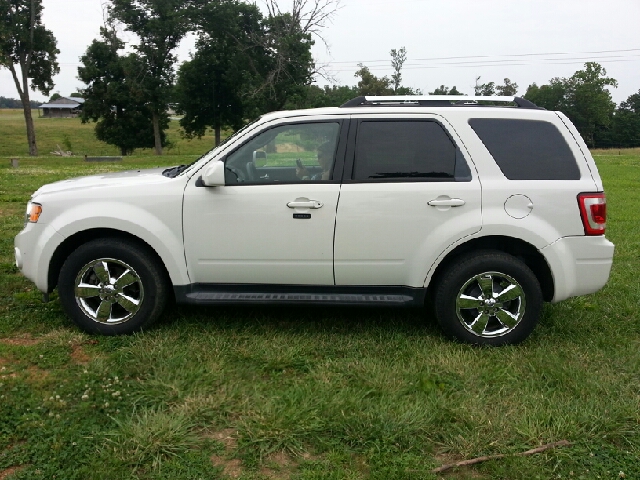 Ford Escape 2009 photo 4