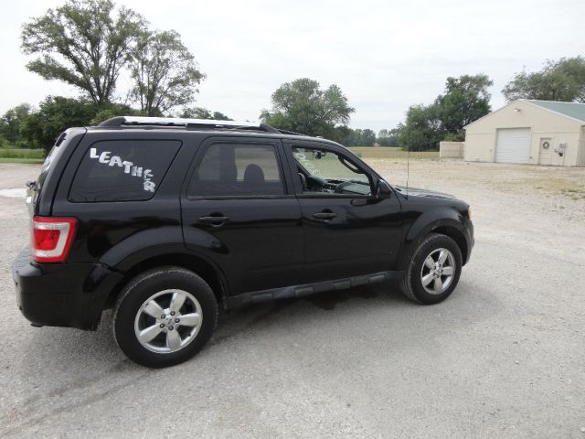 Ford Escape 2010 photo 10