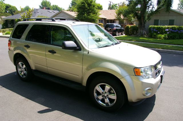 Ford Escape 2010 photo 3