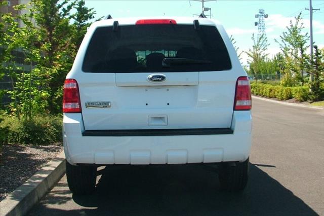 Ford Escape 2010 photo 2