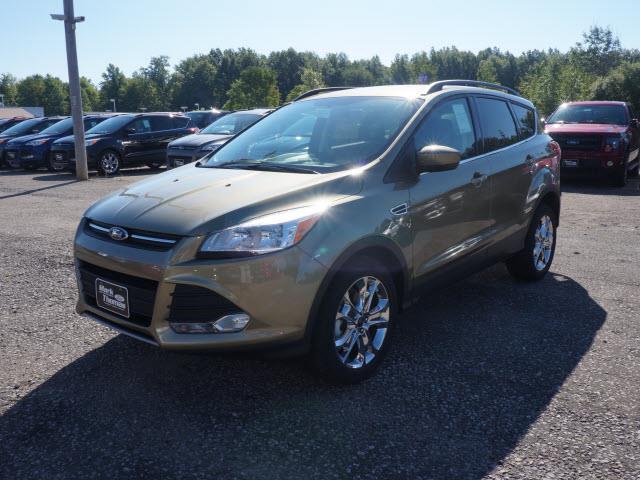 Ford Escape 2014 photo 4