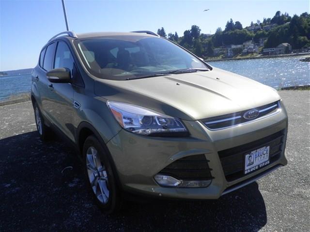 Ford Escape 2014 photo 1