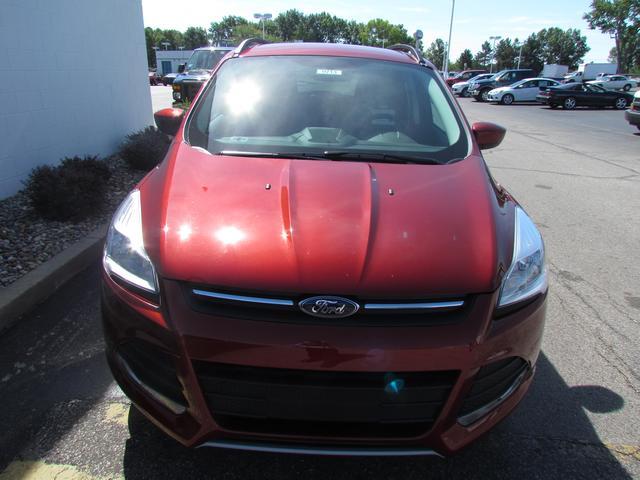 Ford Escape 2014 photo 3