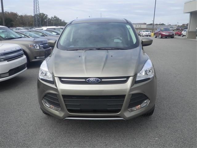 Ford Escape 2014 photo 1