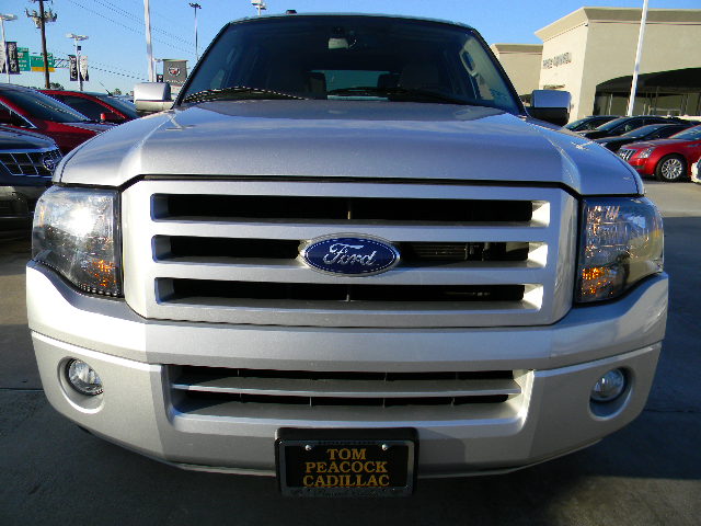 Ford Expedition 2010 photo 1