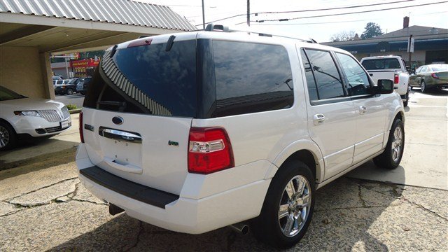 Ford Expedition 2010 photo 1