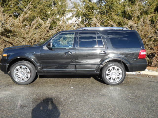 Ford Expedition 2011 photo 1