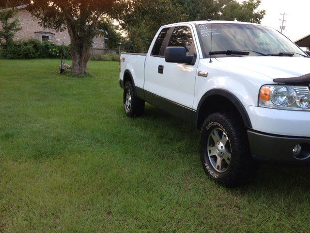 Ford F-150 2006 photo 1