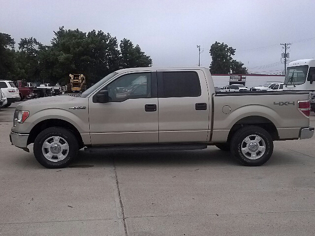 Ford F-150 2009 photo 2