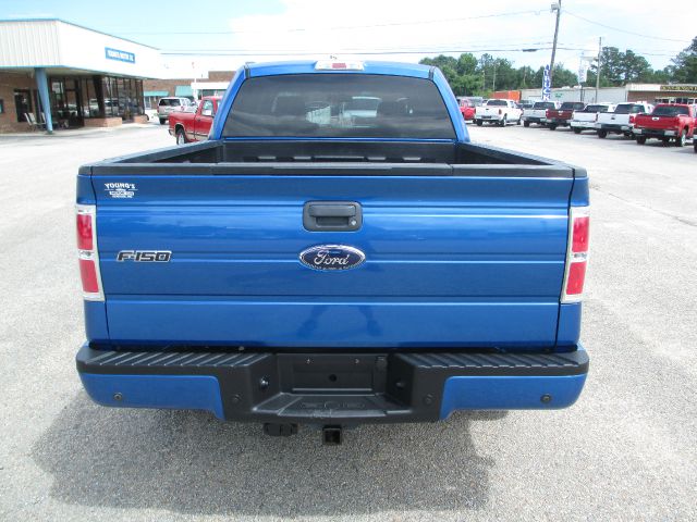 Ford F-150 2009 photo 1