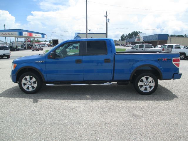 Ford F-150 2009 photo 2