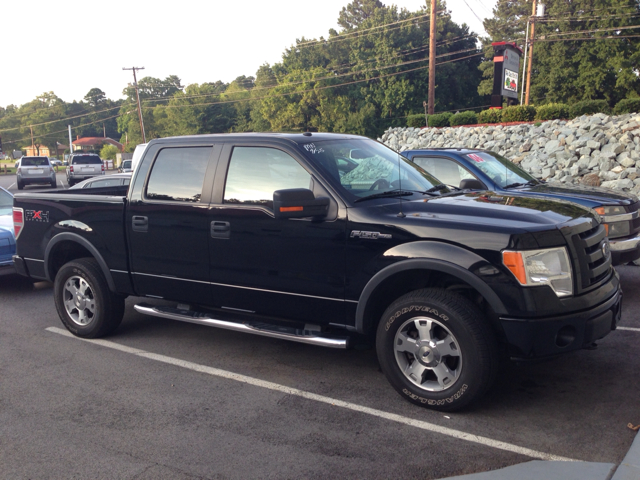 Ford F-150 2009 photo 3