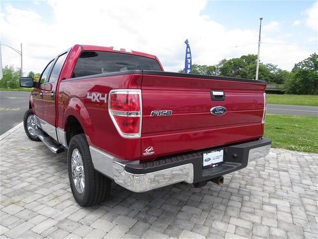 Ford F-150 2010 photo 3