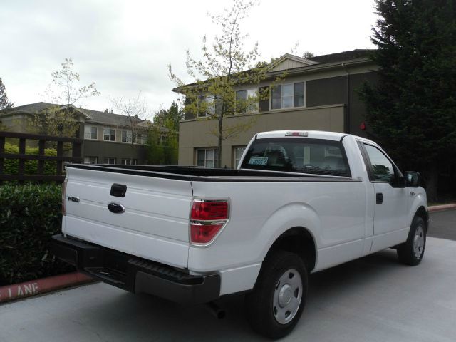 Ford F-150 2010 photo 3