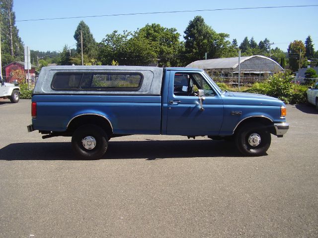 Ford F150 1990 photo 3