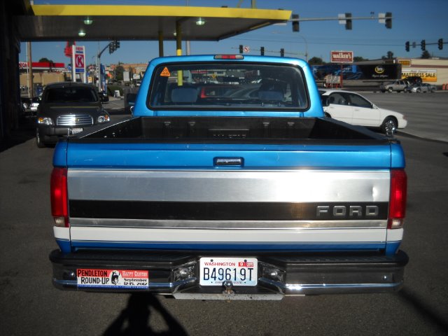 Ford F150 1994 photo 3