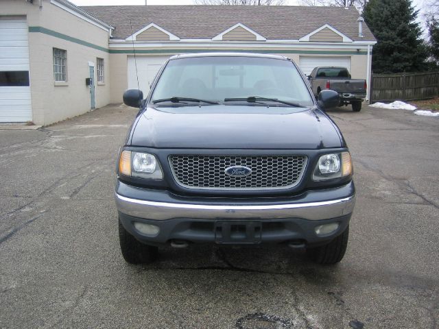 Ford F150 1999 photo 1