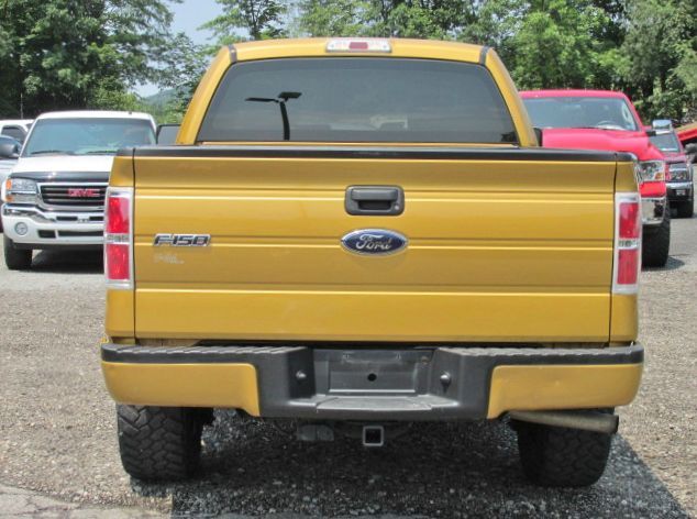 Ford F150 2009 photo 1