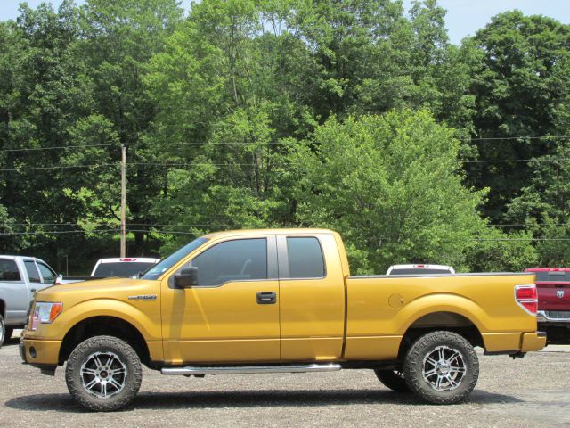 Ford F150 2009 photo 2