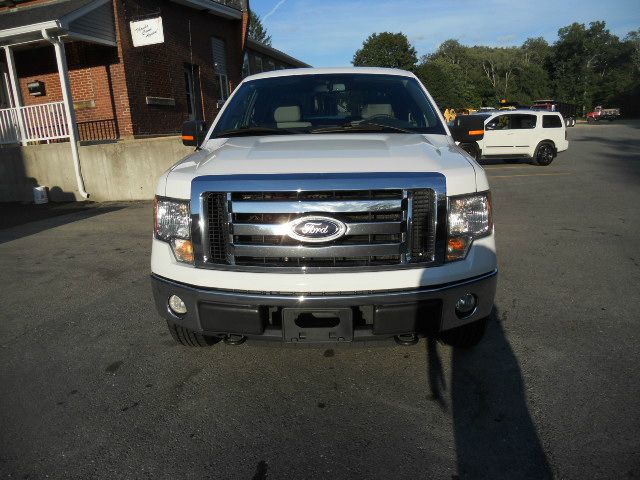 Ford F150 2010 photo 1