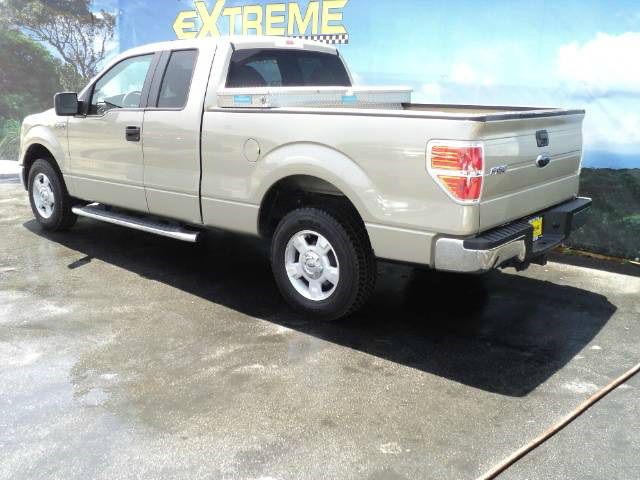 Ford F150 2010 photo 3