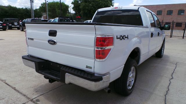 Ford F150 2010 photo 3