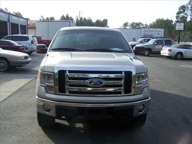 Ford F150 2010 photo 3