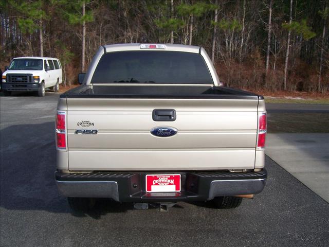 Ford F150 2010 photo 5