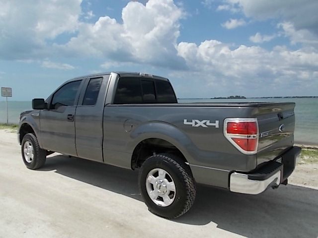 Ford F150 2010 photo 1