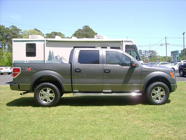 Ford F150 2010 photo 1