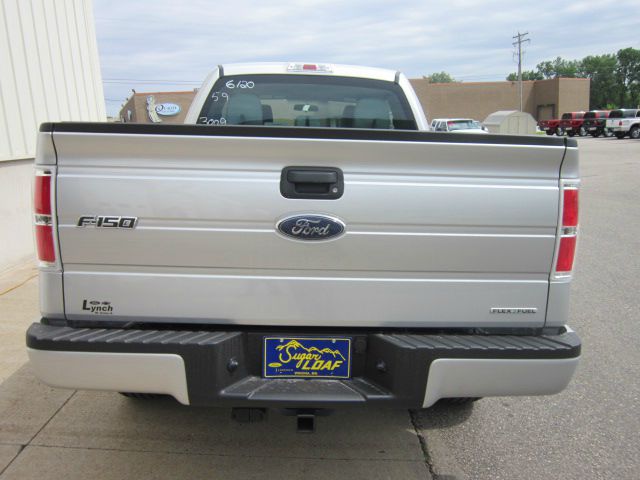 Ford F150 2013 photo 1