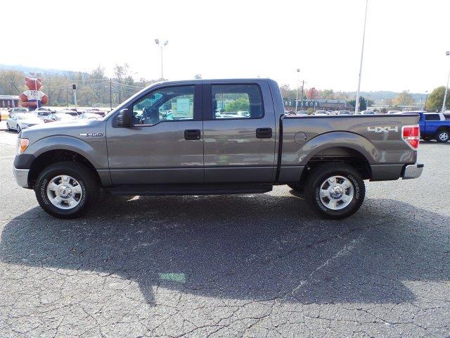 Ford F150 2013 photo 1