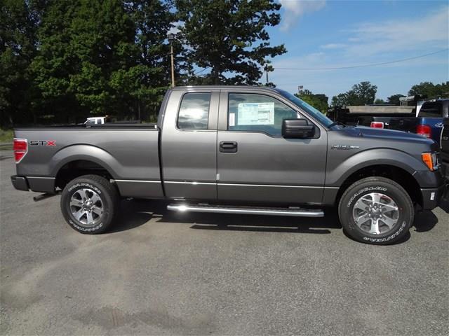 Ford F150 2013 photo 1