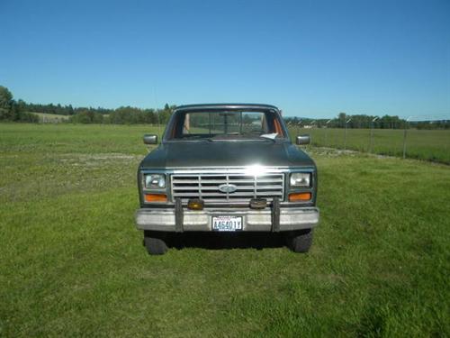 Ford F250 1985 photo 2