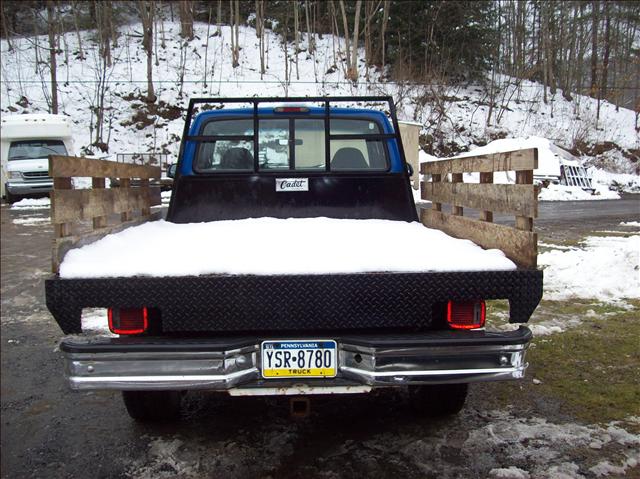 Ford F250 1996 photo 2